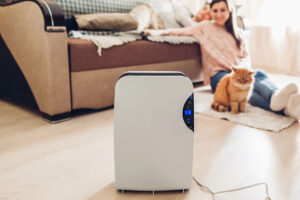 Is Your Home Too Humid? Symptoms & Simple Solutions For Washington Residents by APEX Air